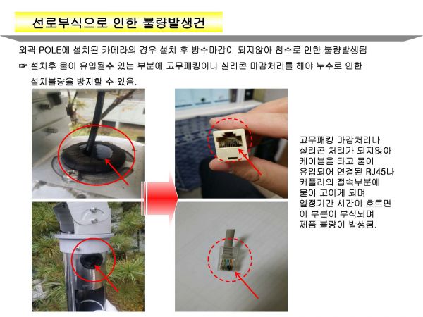 카지노 바카라
